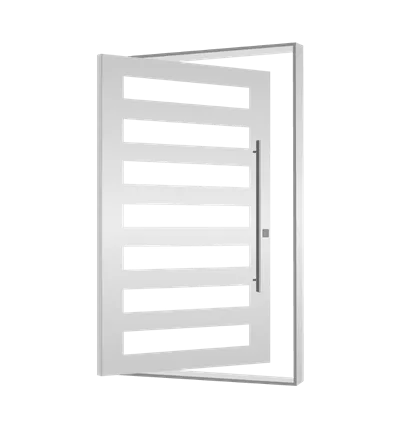 Pivot Door